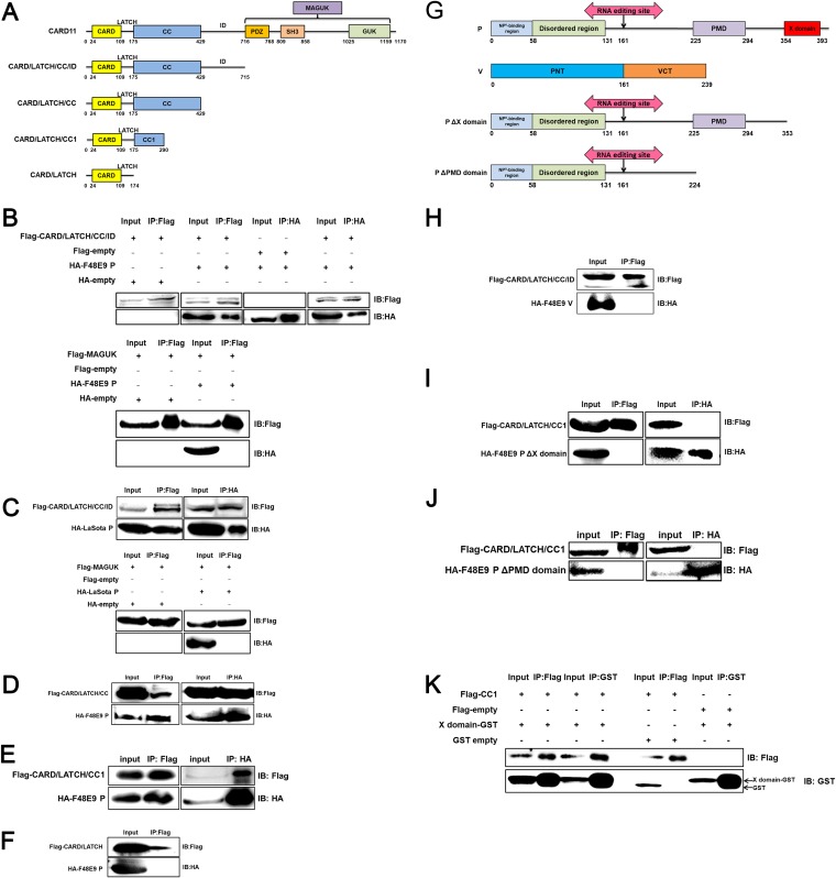 FIG 10