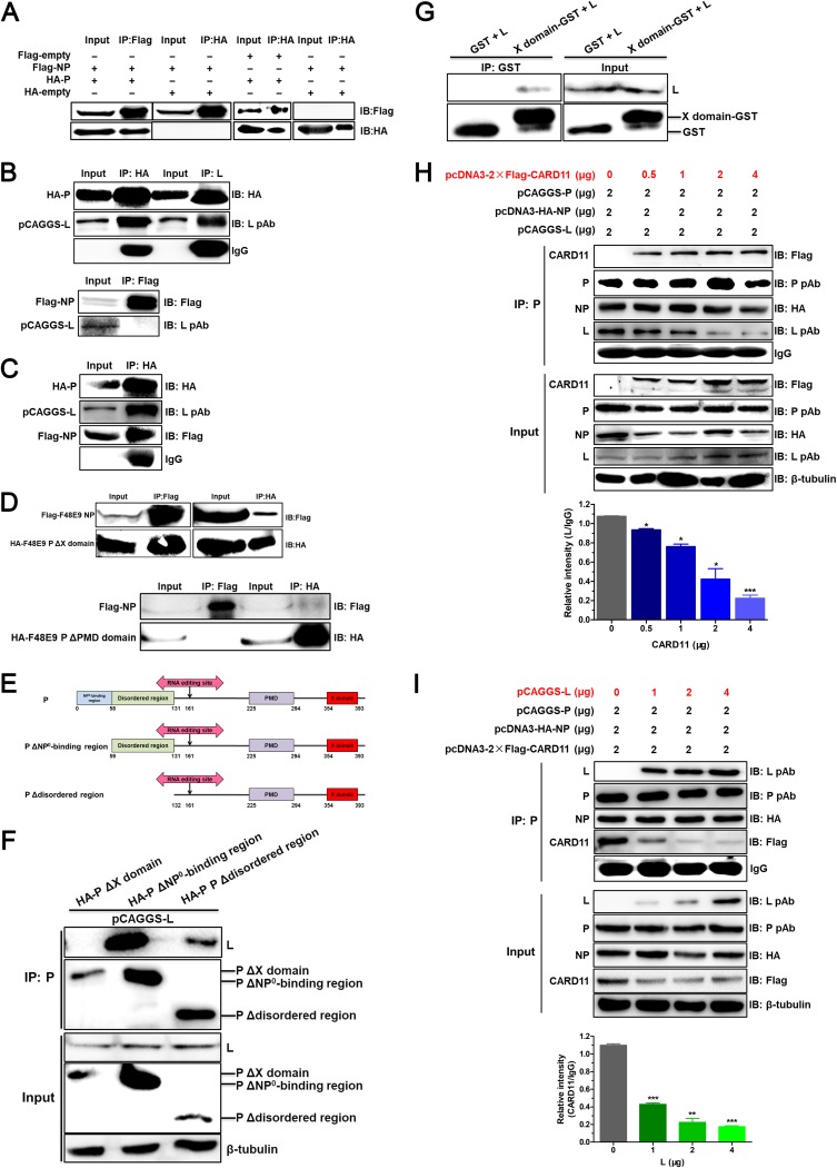 FIG 11