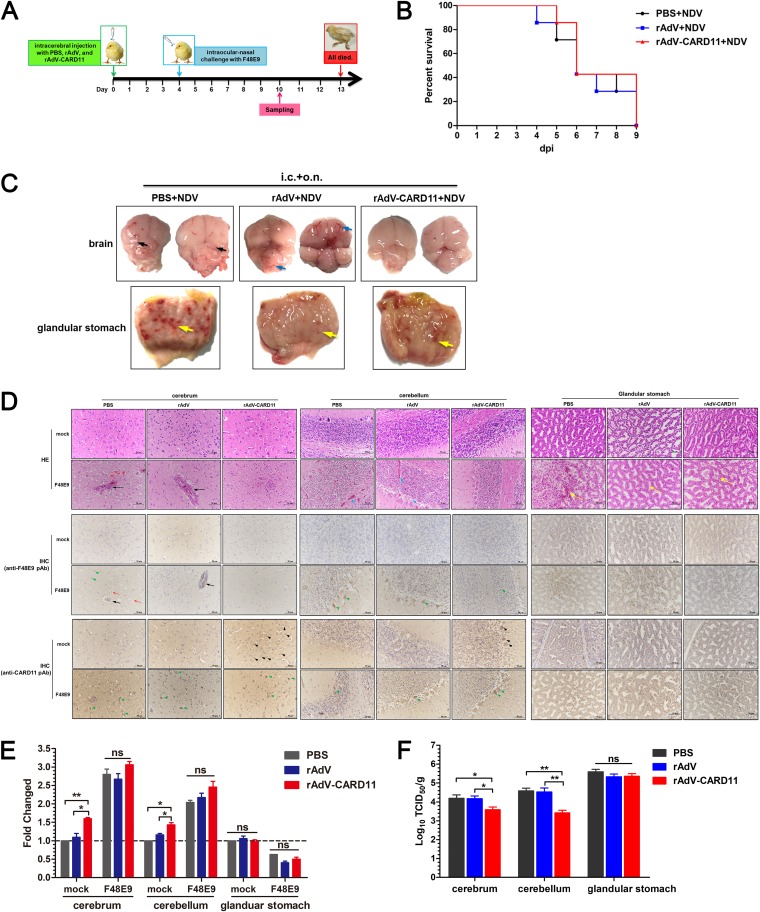 FIG 13