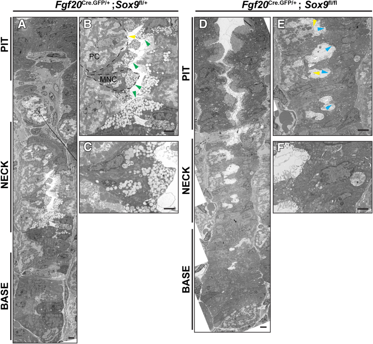 Figure 3