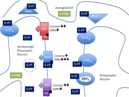 Fig. (1)