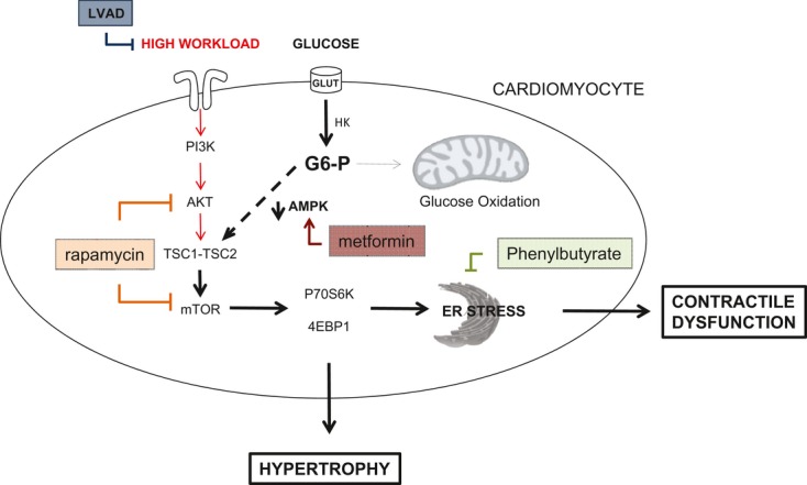 Figure 12.