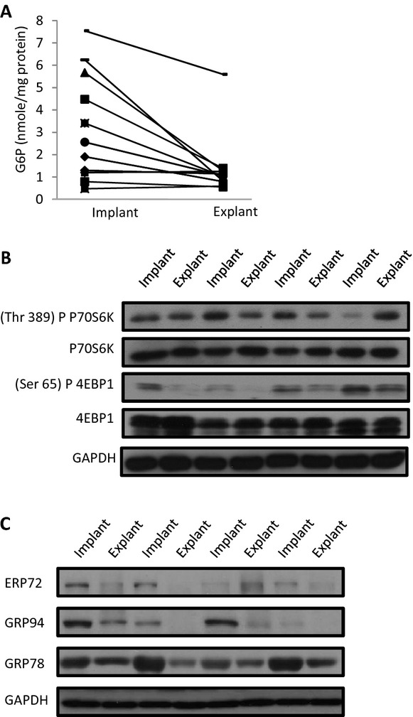 Figure 11.