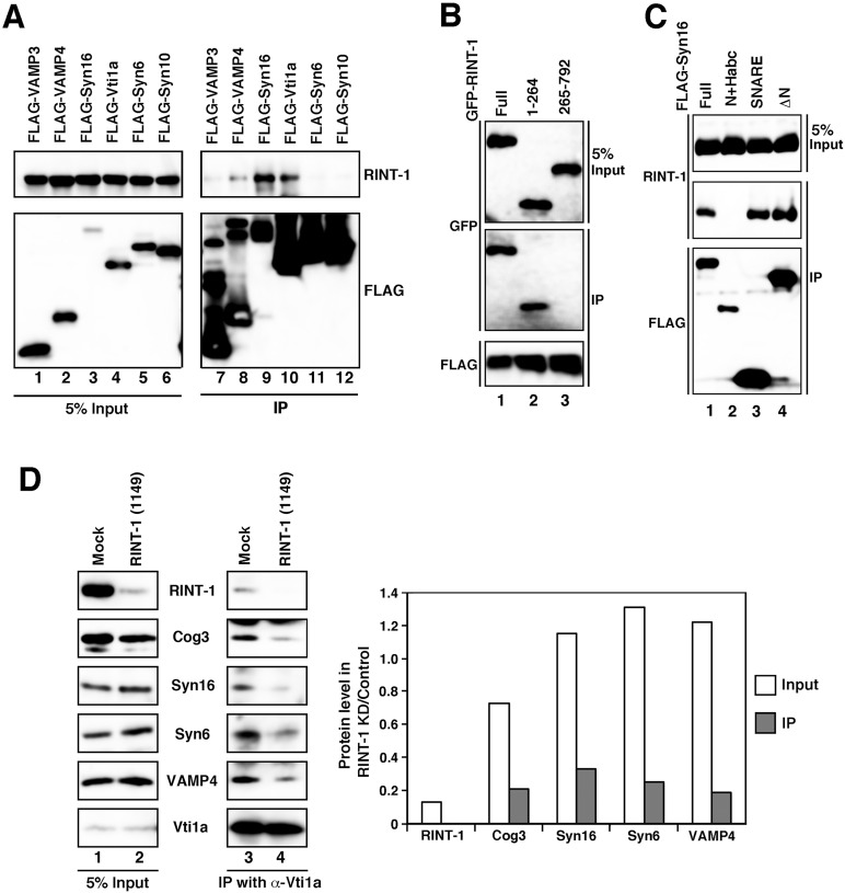 FIGURE 6: