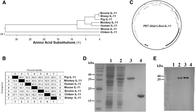 Figure 3