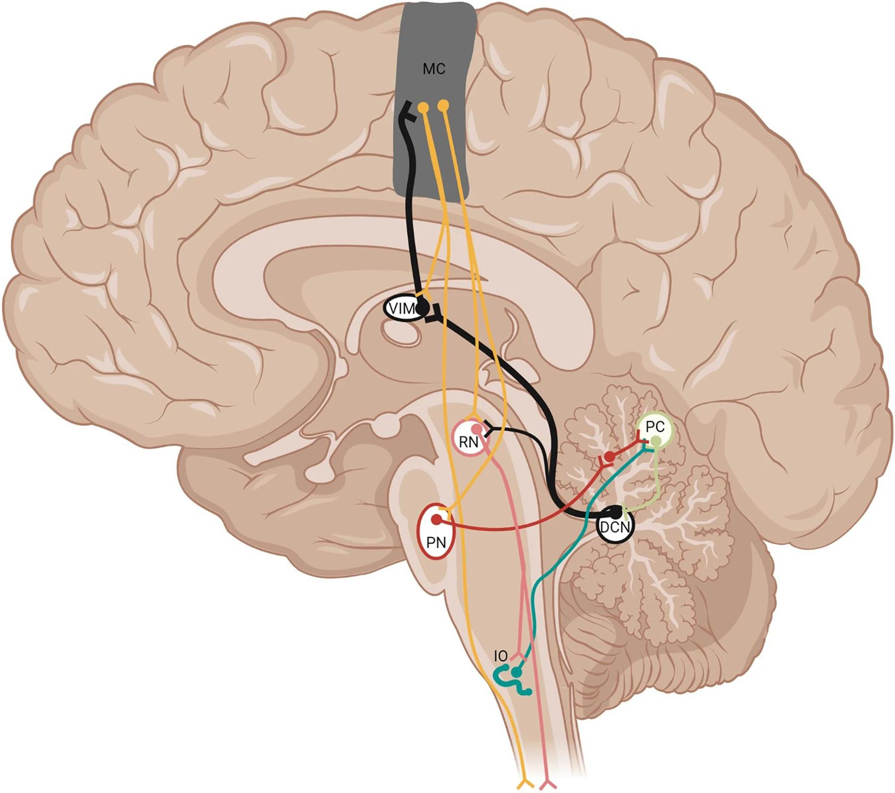 Fig. 2