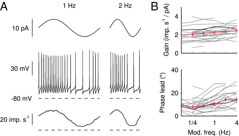 Fig. 5.