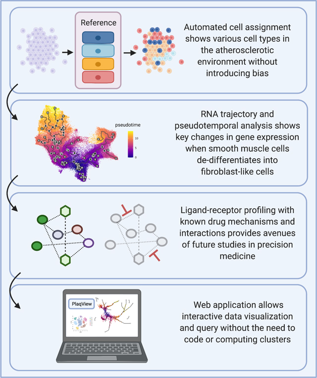 graphic file with name nihms-1762026-f0005.jpg