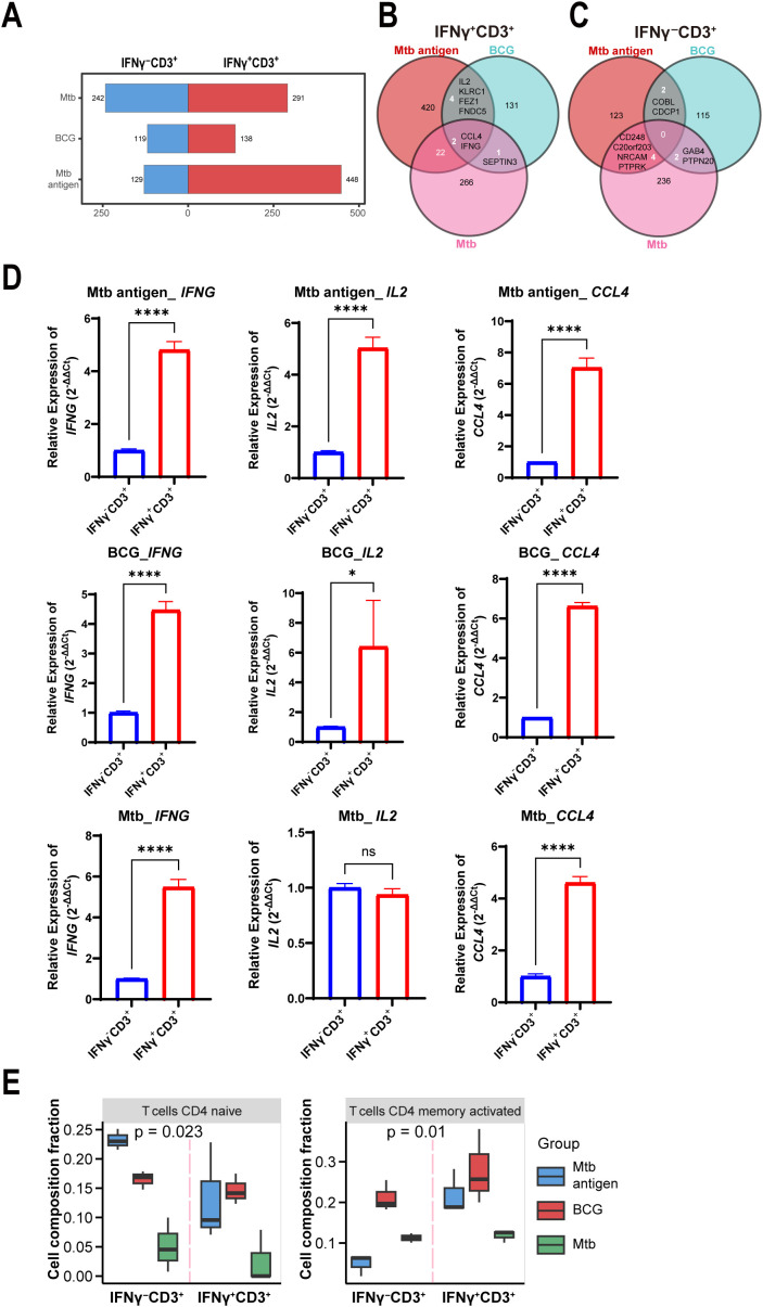 Figure 3