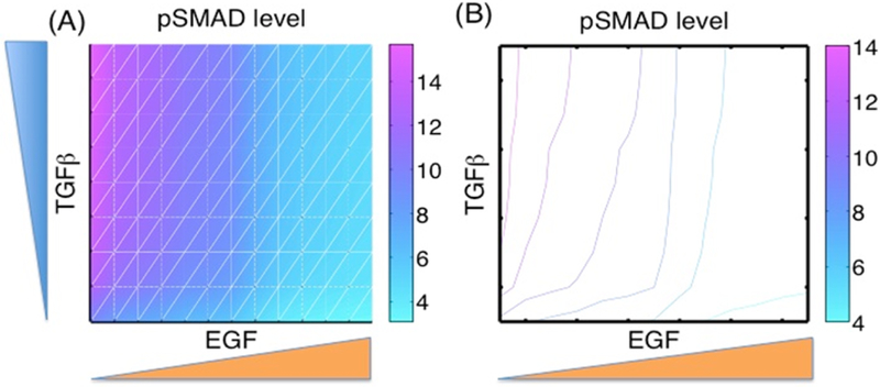 Fig. 8