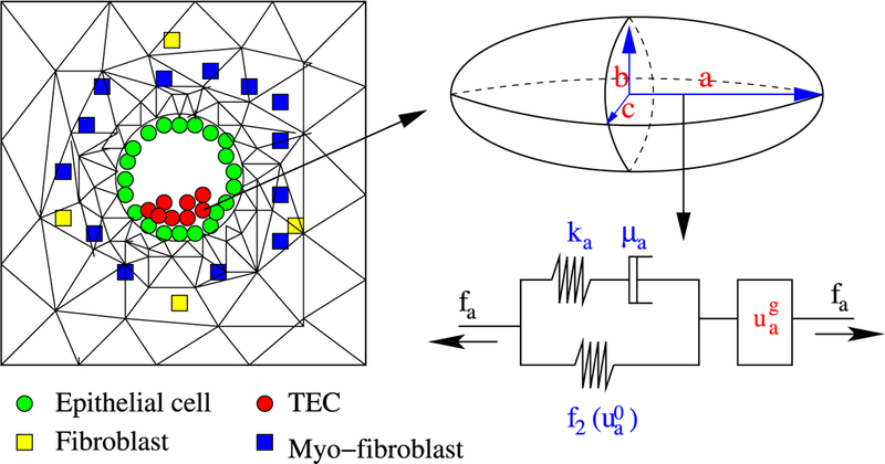 Fig. 11