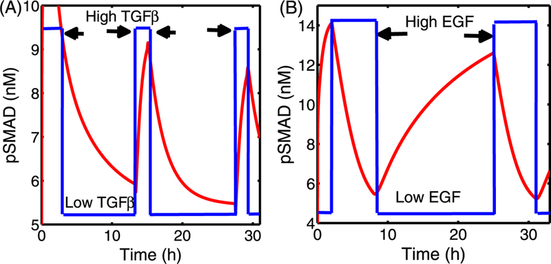 Fig. 9