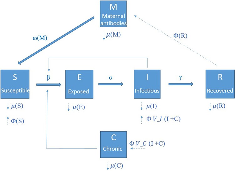 Figure 1.