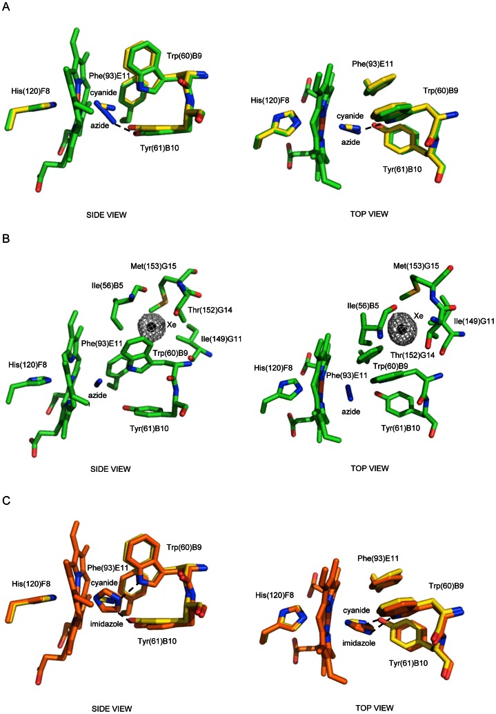 Figure 5