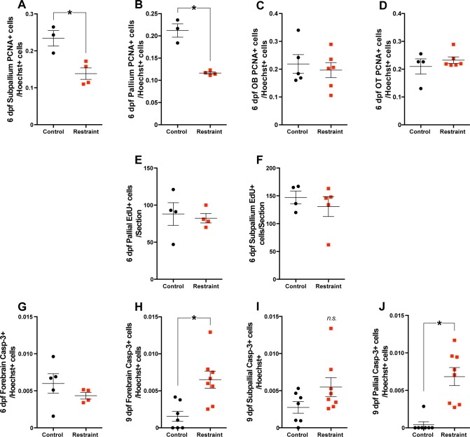 Figure 2—figure supplement 2.