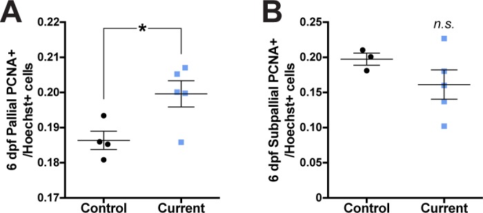 Figure 3—figure supplement 1.