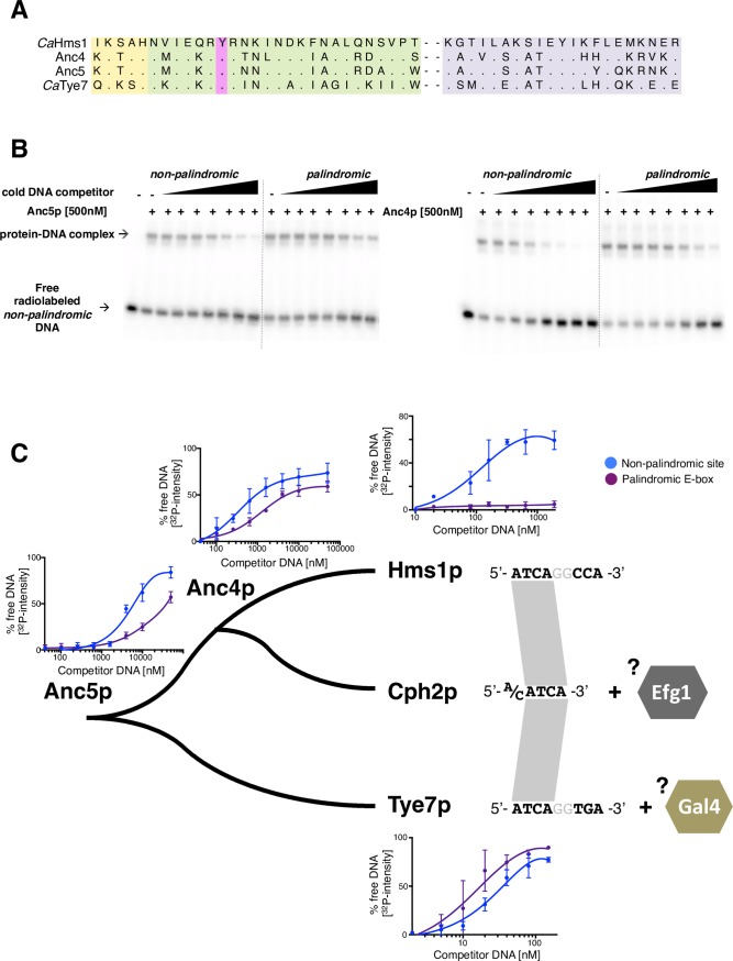 Fig 6