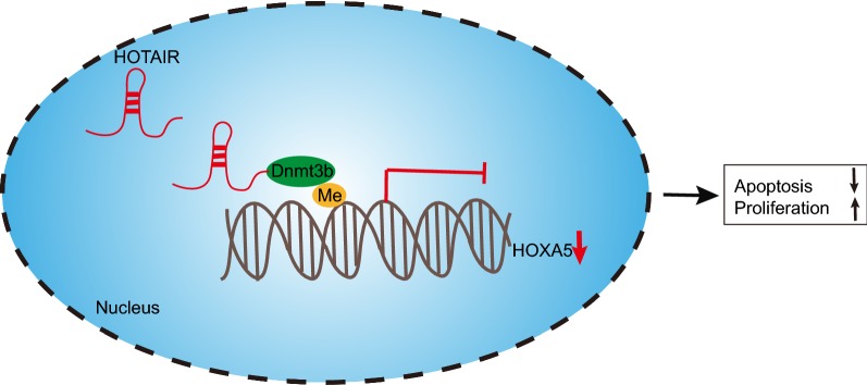 Fig. 6