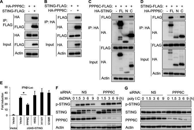 FIG 6