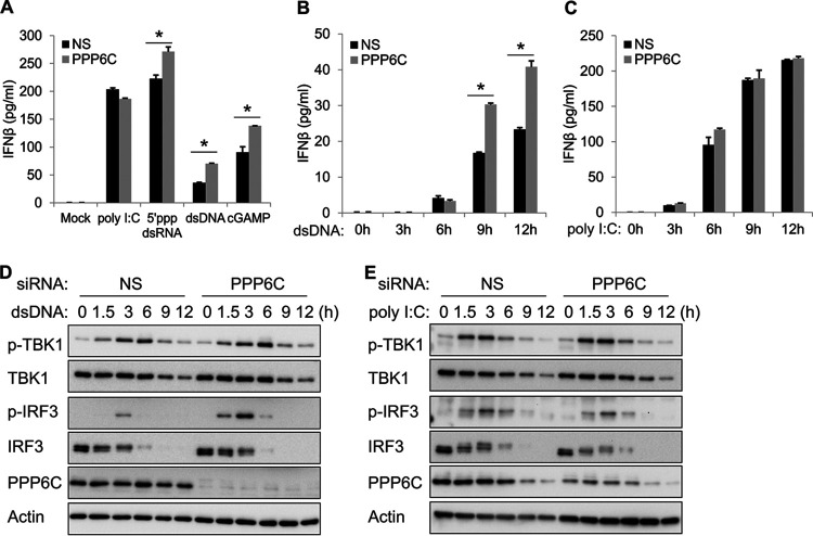 FIG 2