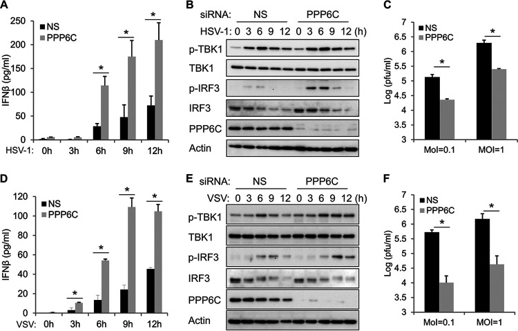 FIG 4