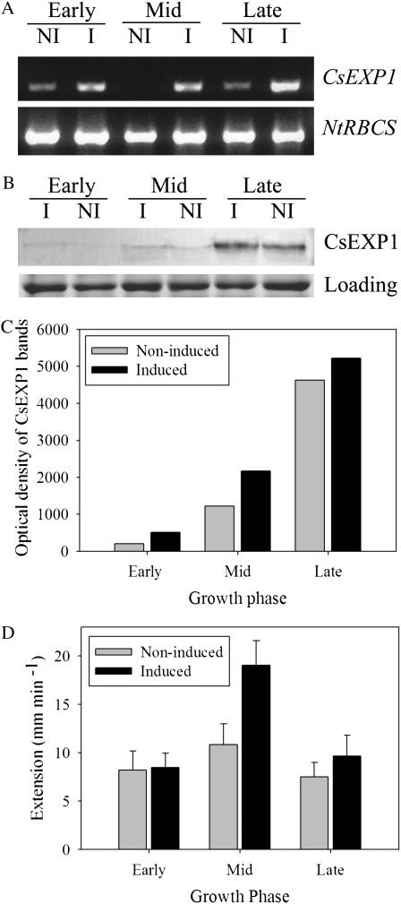 Figure 7.