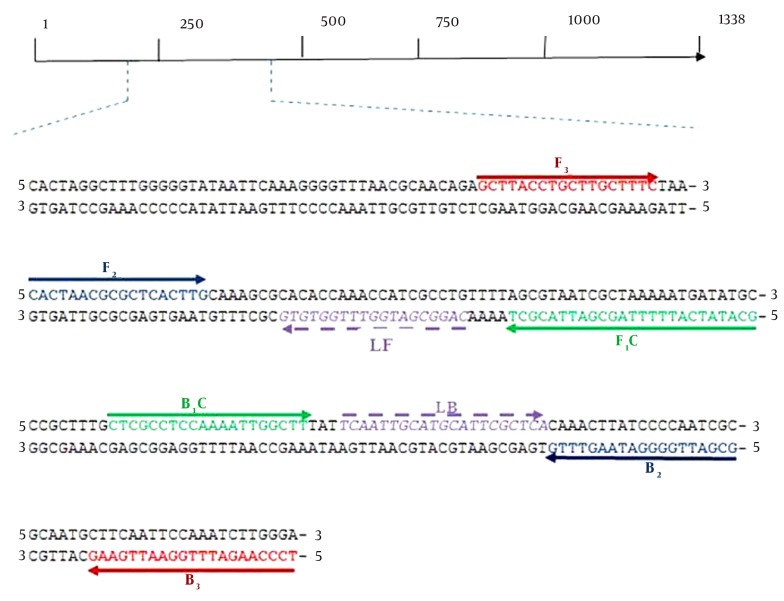 Figure 1.