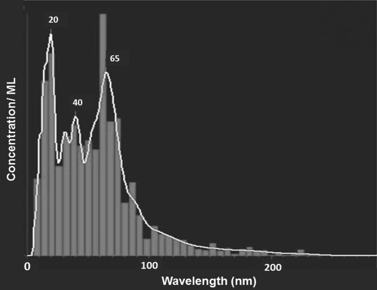 Fig. 6