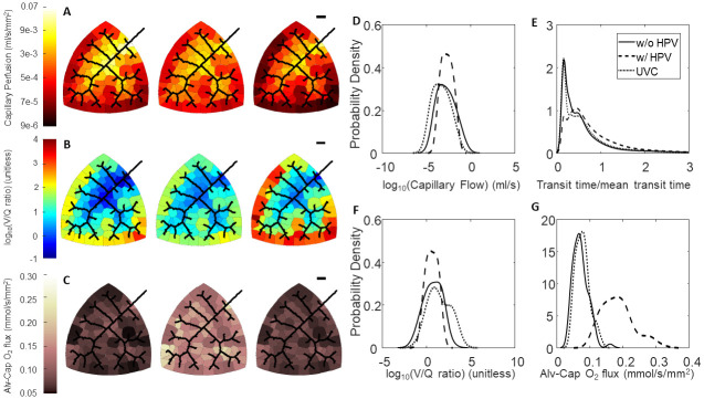 Fig 6