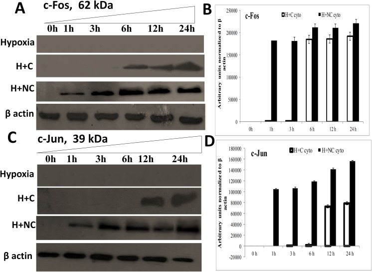 Fig 8