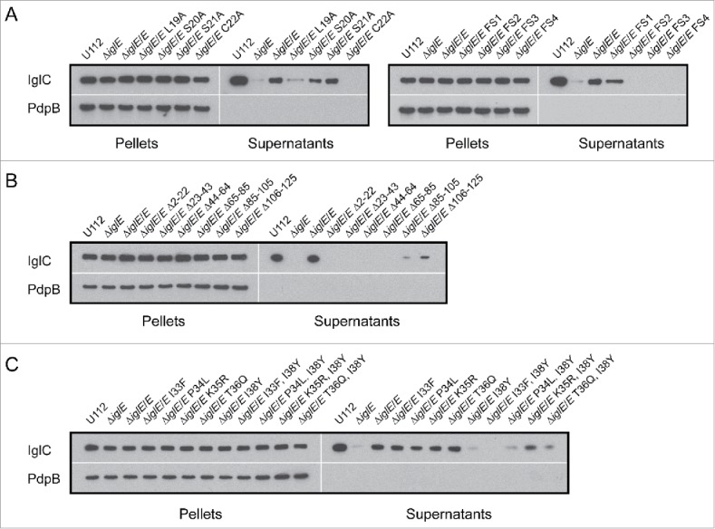 Figure 10.