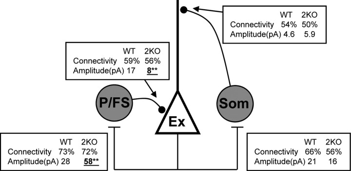 Figure 12.