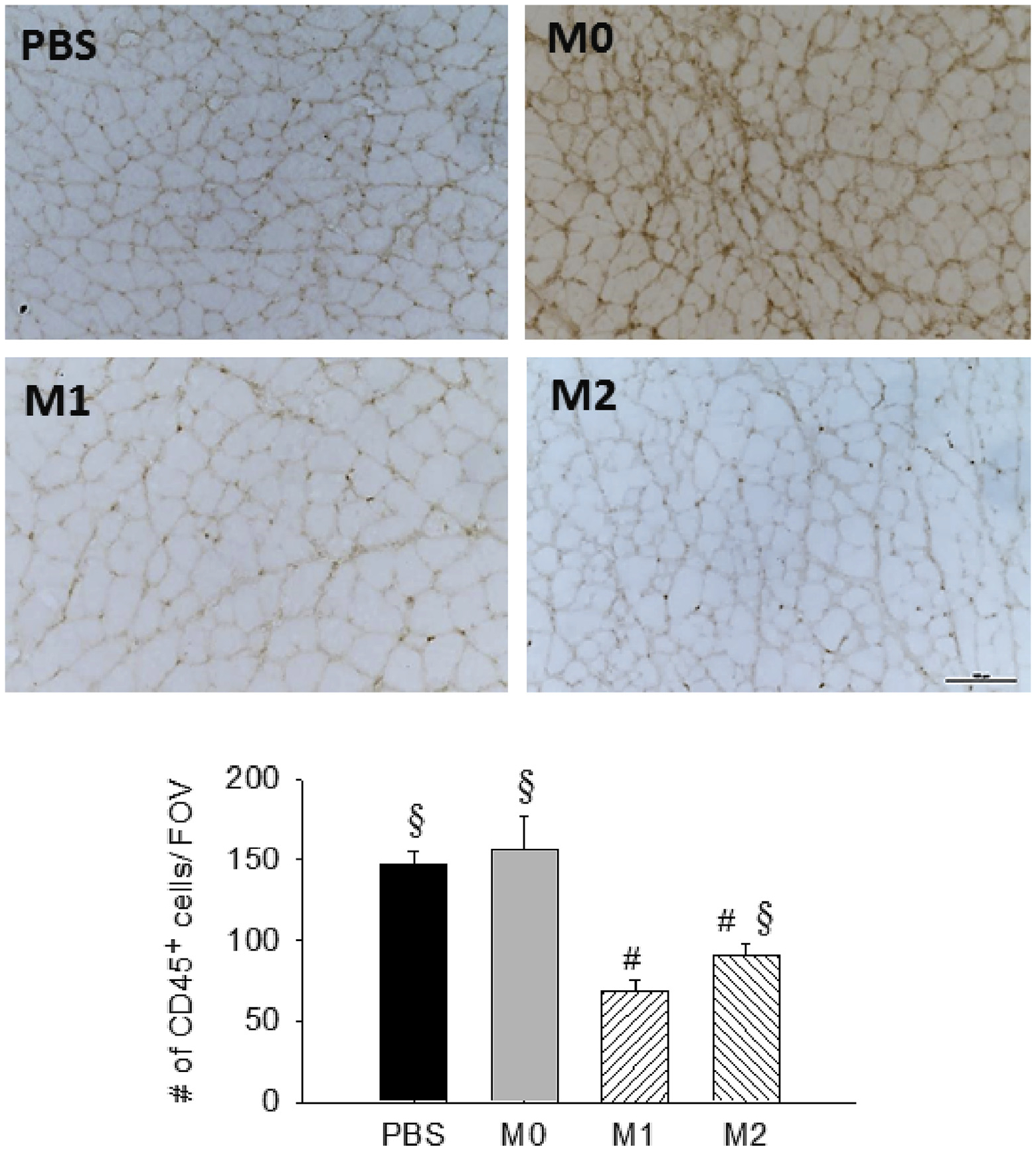 Fig 8.