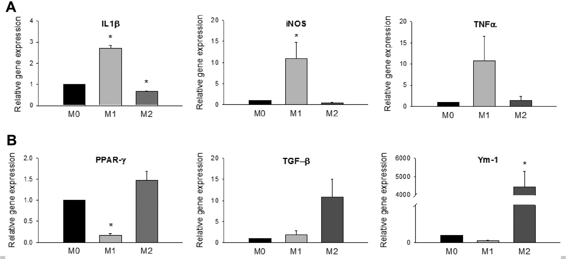 Fig 3.