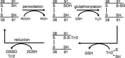 FIG. 8.