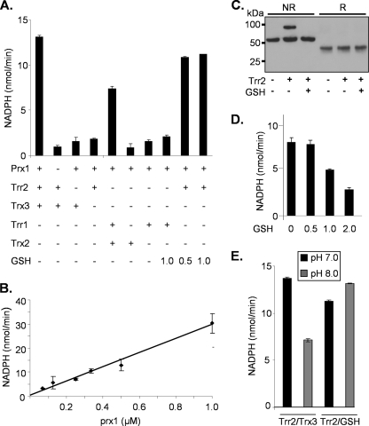 FIG. 7.