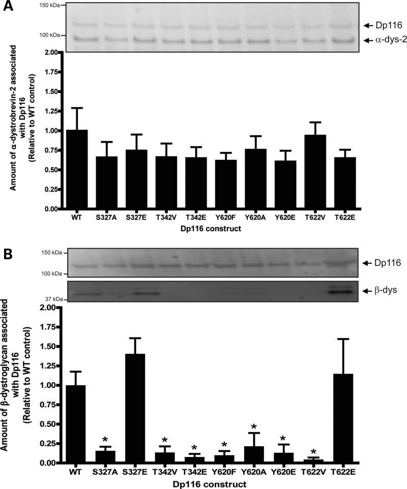 Figure 4.