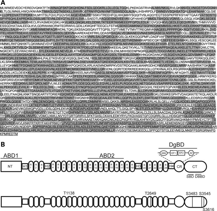 Figure 1.