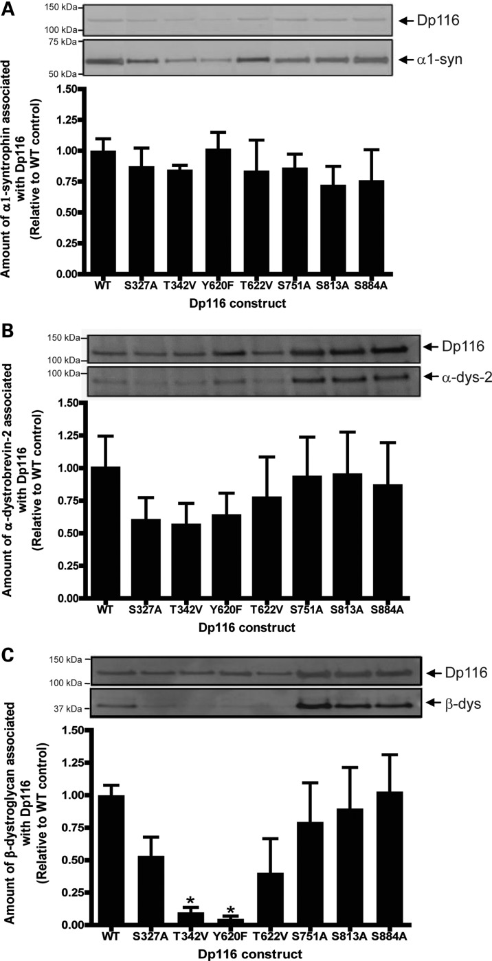 Figure 3.