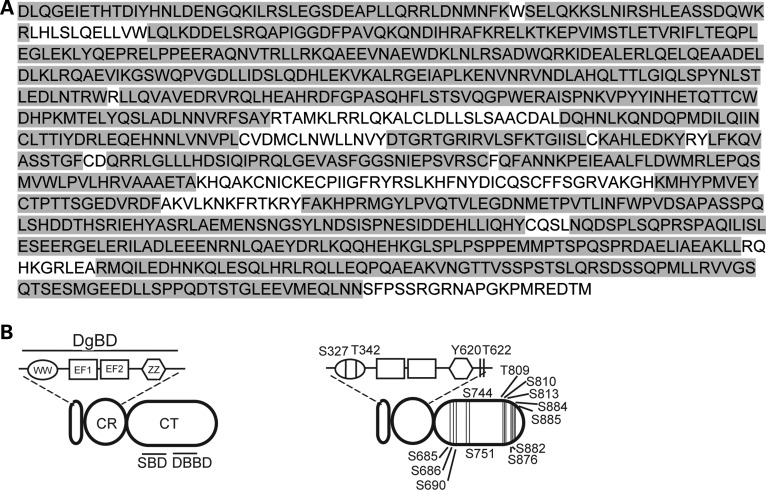 Figure 2.