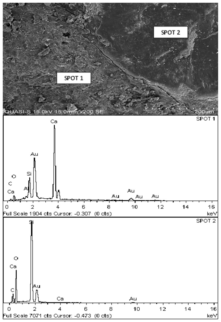 Figure 20