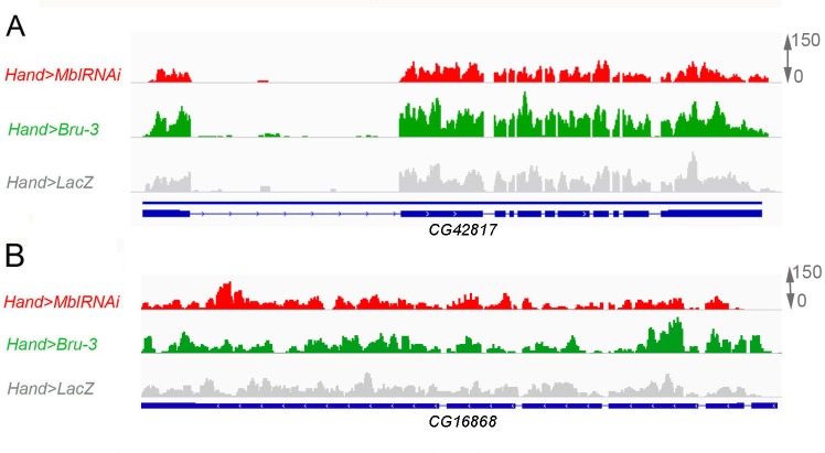 Figure 3—figure supplement 2.