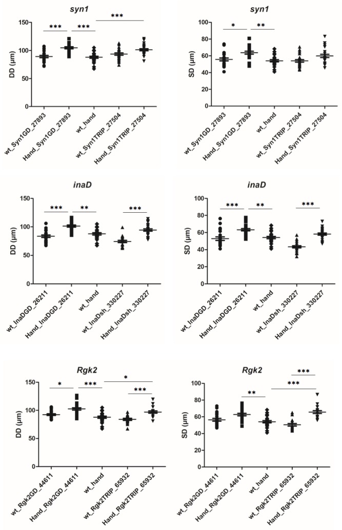 Figure 3—figure supplement 1.