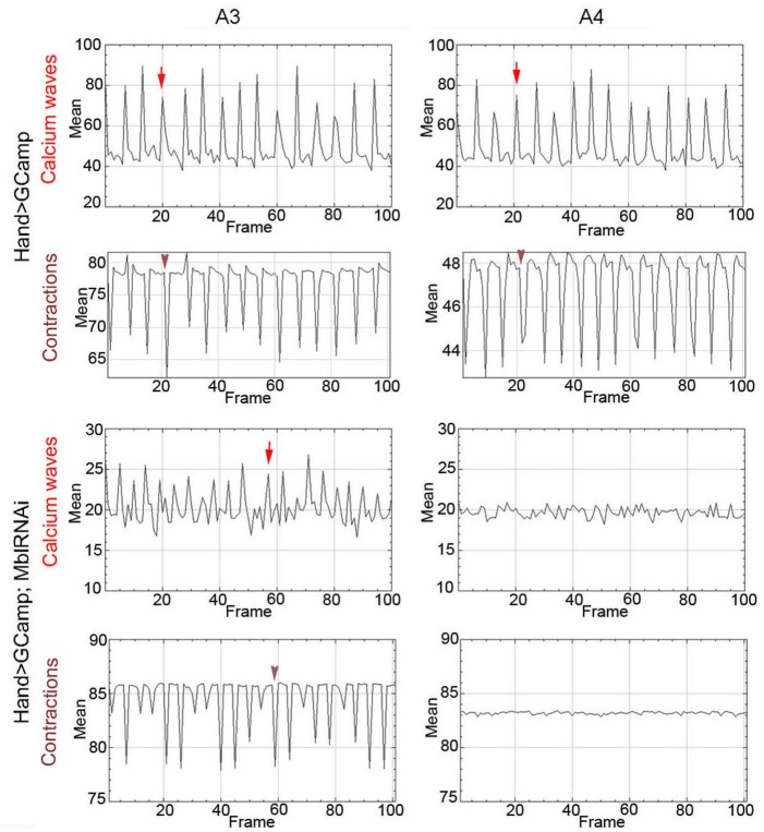 Figure 4.