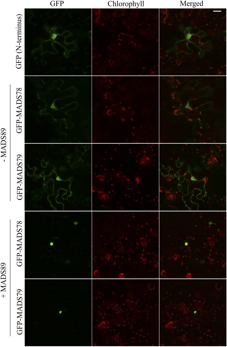 Figure 3.