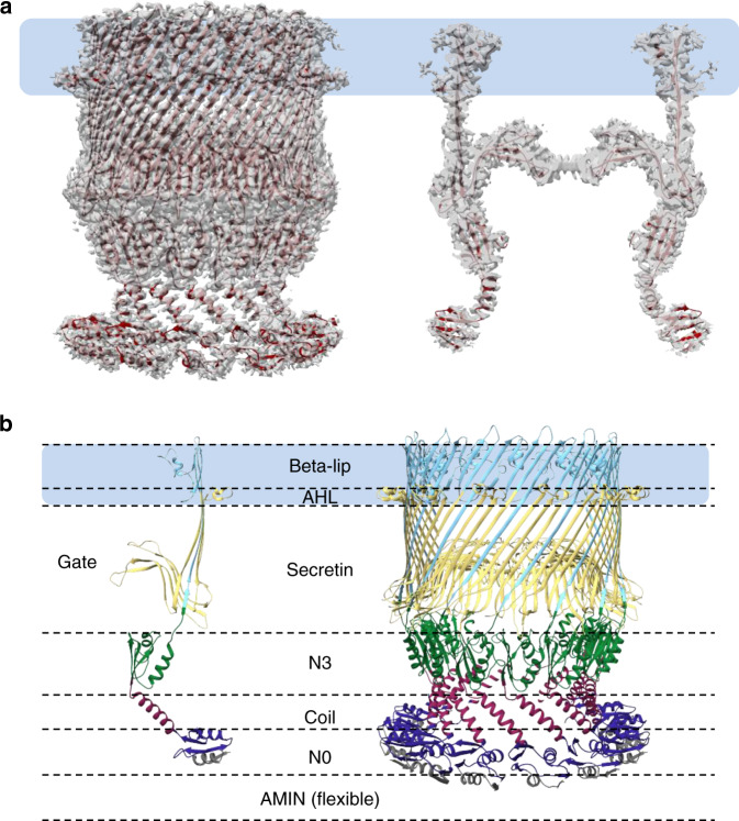 Fig. 1