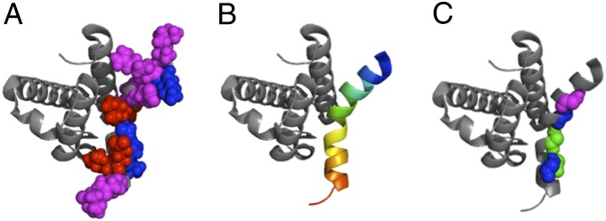 Fig. 2.