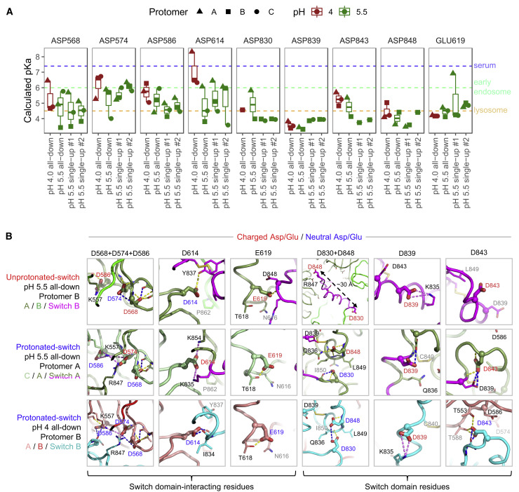 Figure 6