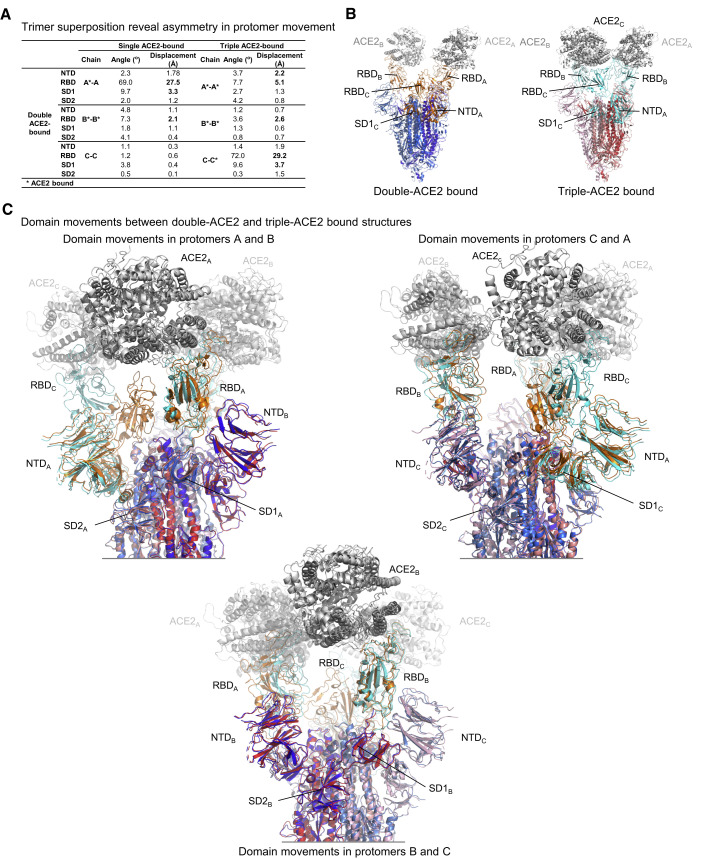 Figure 2