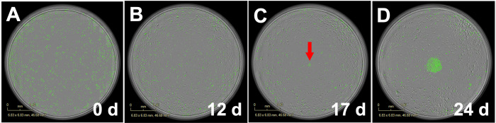 Fig 2